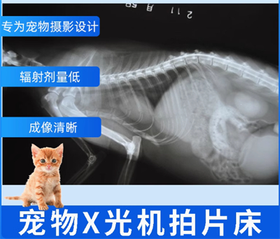 摄影平床动物拍片专用